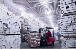 上海到遼寧冷凍物流 上海至遼寧食品冷鏈運輸公司信譽好的