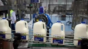 奶粉股 德運母公司邁高關閉工廠,股價暴跌10 ,數百人將失業