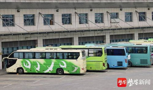 端午出游的注意啦 6月1日起可購小長假汽車票