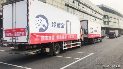 若人民有召喚,這家平臺使命必達(dá)