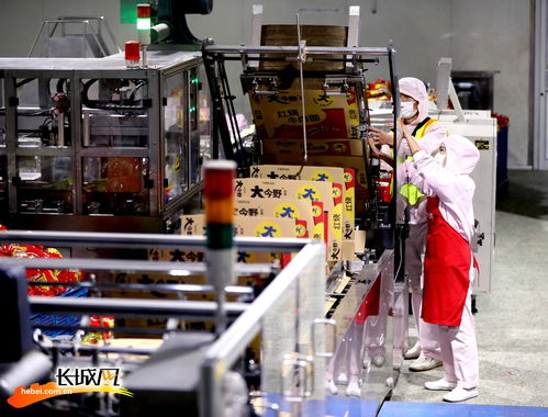 高清組圖 河北隆堯 做強(qiáng)做優(yōu)食品產(chǎn)業(yè)鏈